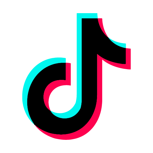 tiktok icon