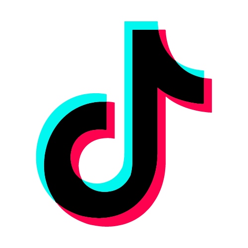 tiktok icon