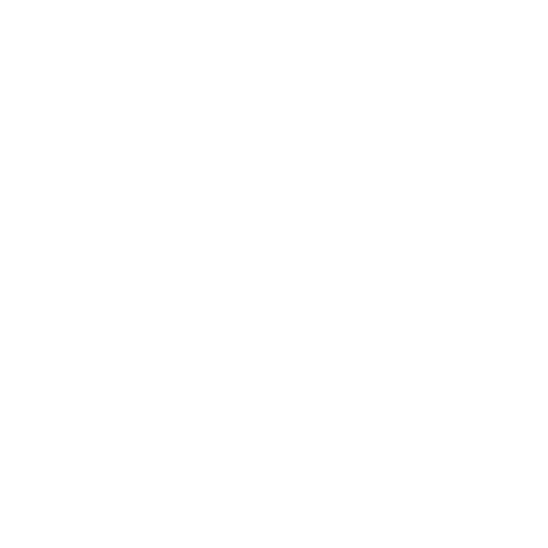 discord icon