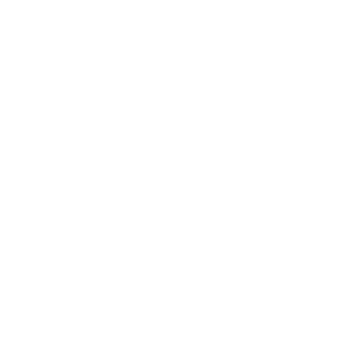 spotify icon